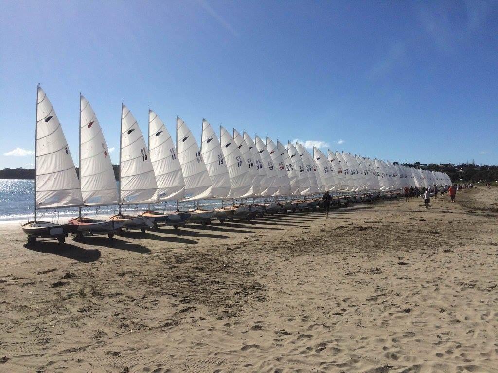 The 86 strong fleet - 60th Zephyr Nationals - Manly, April 2016 © Zephyr Owners Association