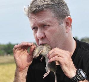 You have to be joking - New Zealand politician  eating a dead rat photo copyright SW taken at  and featuring the  class