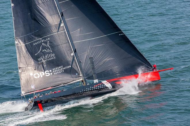 At 100 feet, 'Comanche' is the largest boat in the five regular divisions of the 2016 Newport Bermuda Race. Jim and Kristy Clark’s all-out, high-tech racer has her sights on line honors and on the race record of 39hrs 39 minutes set by 'Rambler' in 2012. © Daniel Forster http://www.DanielForster.com