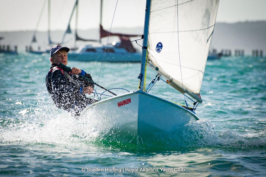 Youth Sailors sailing his Starling photo copyright Suellen Hurling taken at  and featuring the  class
