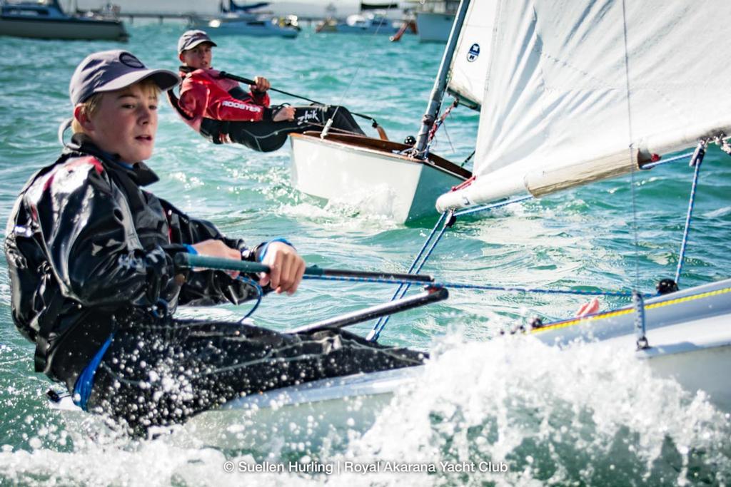 Eli Liefting and Harry Butler sailing his Starling © Suellen Hurling