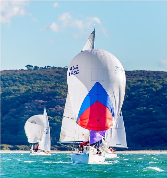 Downwinds are getting fresh to exhilarating in the short course format - Wet Tech Rigging Cronulla J24 Short Course Regatta © j24.com.au