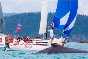 Whale and Nessie – Day 2 - Audi Hamilton Island Race Week photo copyright Andrea Francolini taken at  and featuring the  class