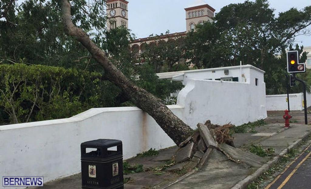  - Bermuda - Hurricane Nicole - October 13, 2016 photo copyright Ber News taken at  and featuring the  class
