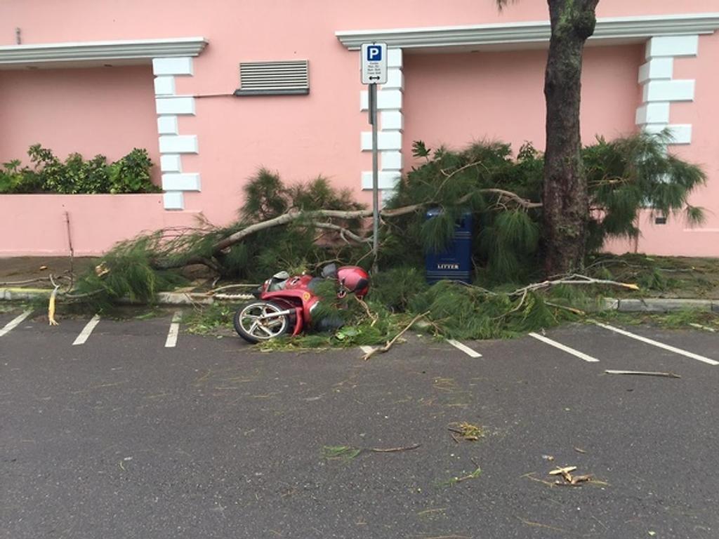  - Bermuda - Hurricane Nicole - October 13, 2016 photo copyright Ber News taken at  and featuring the  class