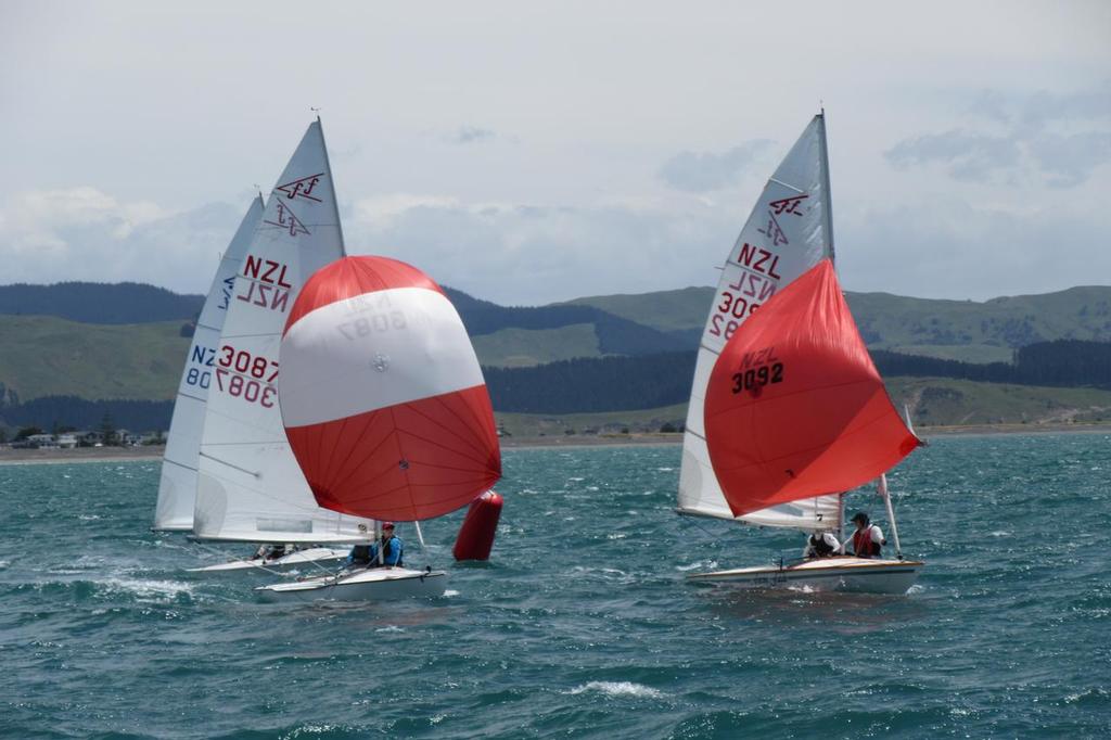 Napier's Summer Regatta in late November was excellent training for the NZ crews! - Lexus of Hawke's Bay 21st Flying Fifteen World Championship photo copyright Rhondda Poon taken at  and featuring the  class