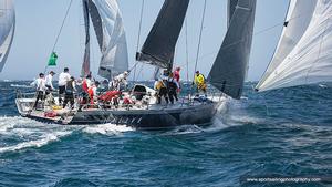 Alive - 2016 Rolex Sydney Hobart Yacht Race photo copyright Beth Morley - Sport Sailing Photography http://www.sportsailingphotography.com taken at  and featuring the  class