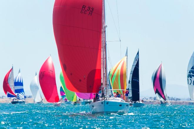Spinnakers on out Corio Bay - Festival of Sails 2017 ©  Steb Fisher