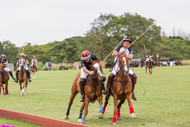 Lay day polo match at Holders, St James. ©  Peter Marshall / MGRBR