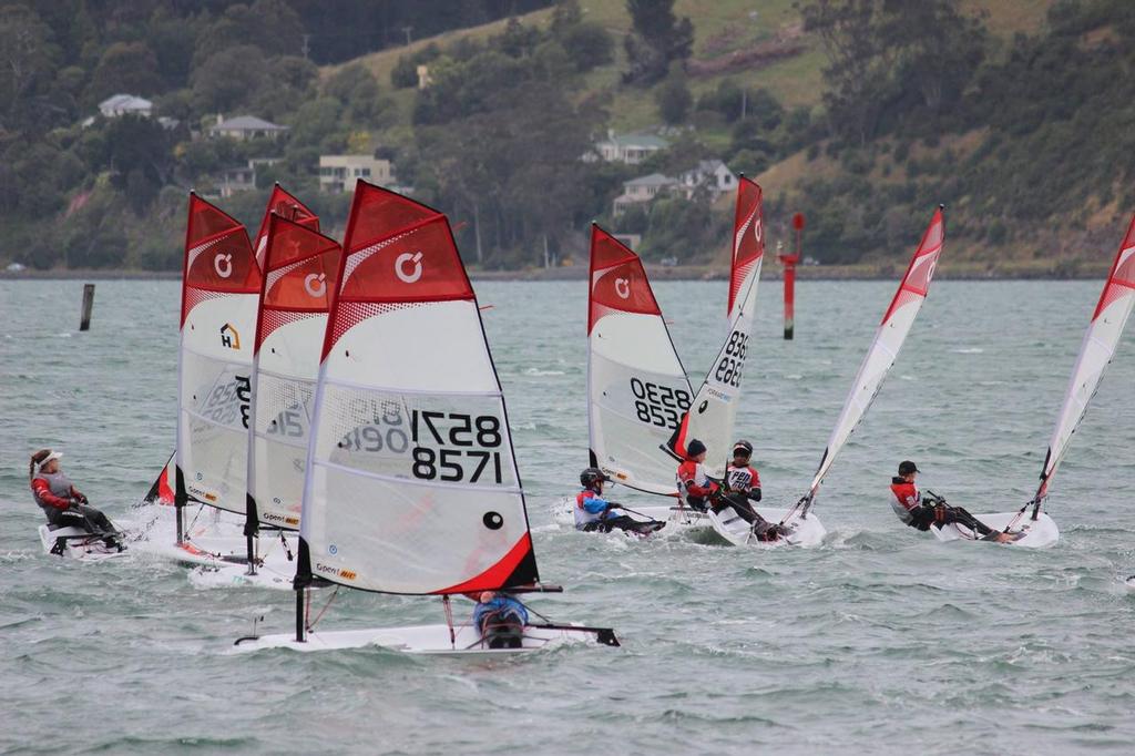 Day 2 - Forward Sailing New Zealand O'pen Cup - Otago Harbour January 2017 photo copyright O'pen BIC New Zealand taken at  and featuring the  class