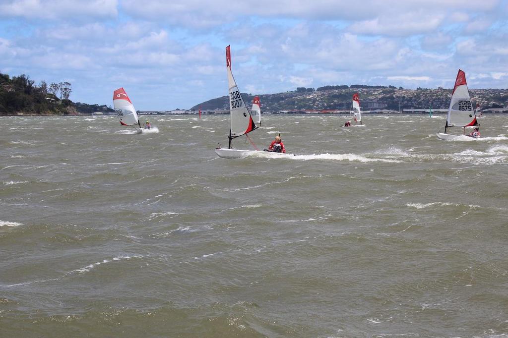 Final Day - Forward Sailing New Zealand O'pen Cup - Otago Harbour January 2017 photo copyright O'pen BIC New Zealand taken at  and featuring the  class