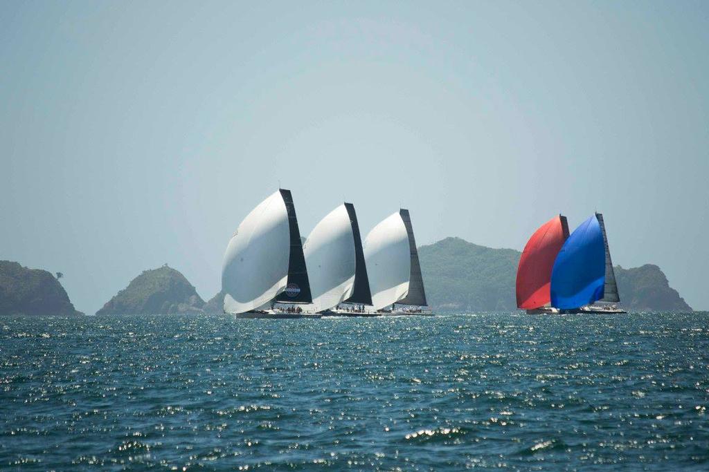 Close racing in the 50fters - Bay of Islands Sailing Week, January 2017 © Mark Sims