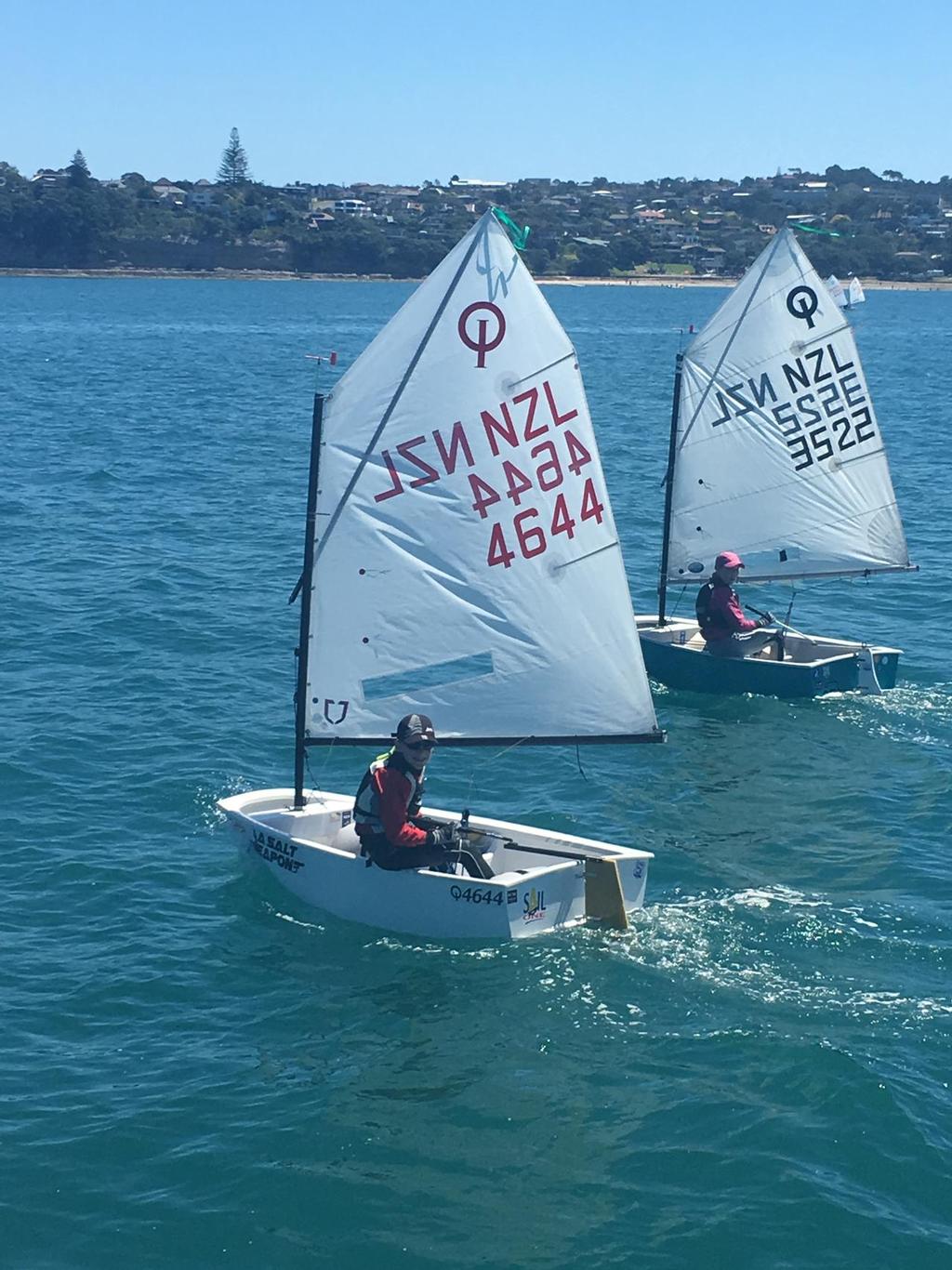 Optimists race in racing and Learn To Sail fleets at Pt Chevalier Sailing Club © Point Chevalier SC