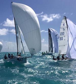 Not only starts, but finishes were close too in the J/70's - Quantum Key West Race Week 2017 photo copyright Quantum Key West Race Week / Martha Parker taken at  and featuring the  class