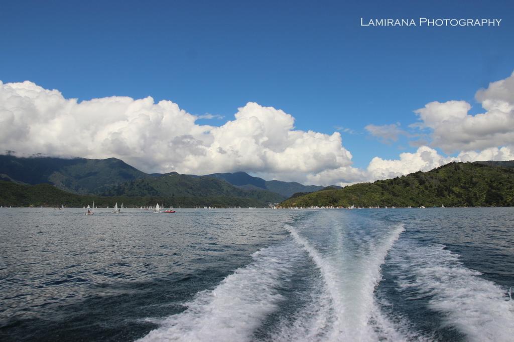 Sailing in picton - Marlborough Sounds - WOW - Interislander Optimist Challenge 2017 and Port Marlborough Starling regatta photo copyright Agnes Takacs taken at  and featuring the  class