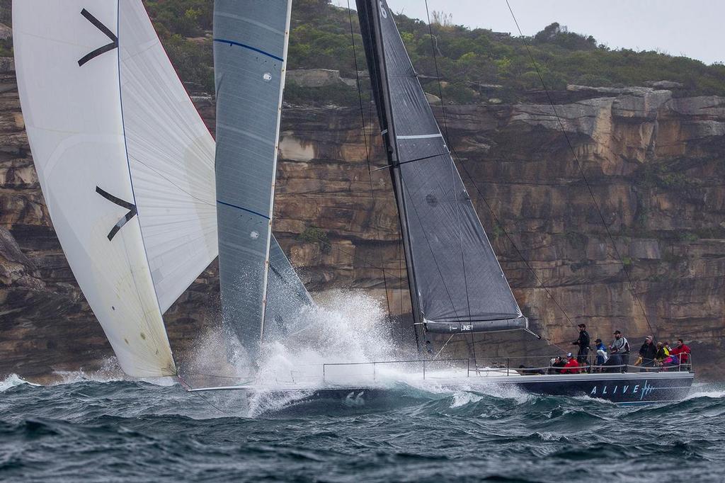 Charging along is always a good way to know that you're Alive! - Sydney Harbour Regatta © Andrea Francolini