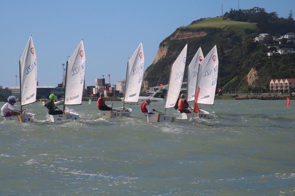  - Day 3 - Toyota Optimist Nationals - Napier, April 16, 2017 - Images by Sheldrake and O'Donnell photo copyright NZ Optimist Team taken at  and featuring the  class