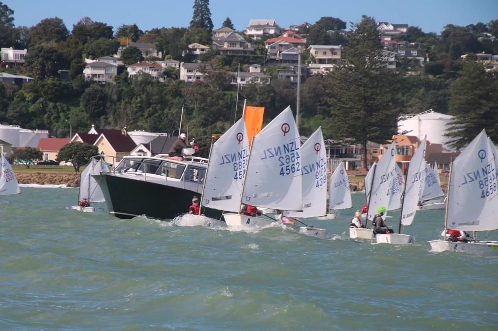  - Day 3 - Toyota Optimist Nationals - Napier, April 16, 2017 - Images by Sheldrake and O'Donnell © NZ Optimist Team