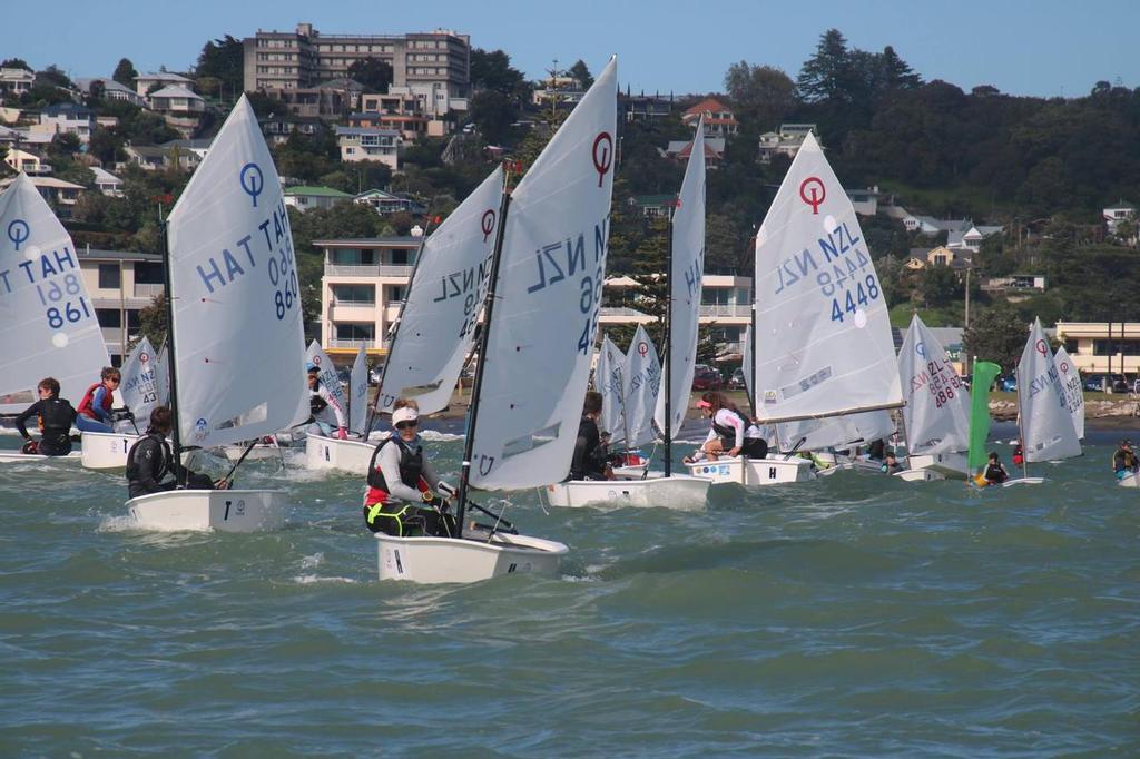  - Day 3 - Toyota Optimist Nationals - Napier, April 16, 2017 - Images by Sheldrake and O'Donnell photo copyright NZ Optimist Team taken at  and featuring the  class