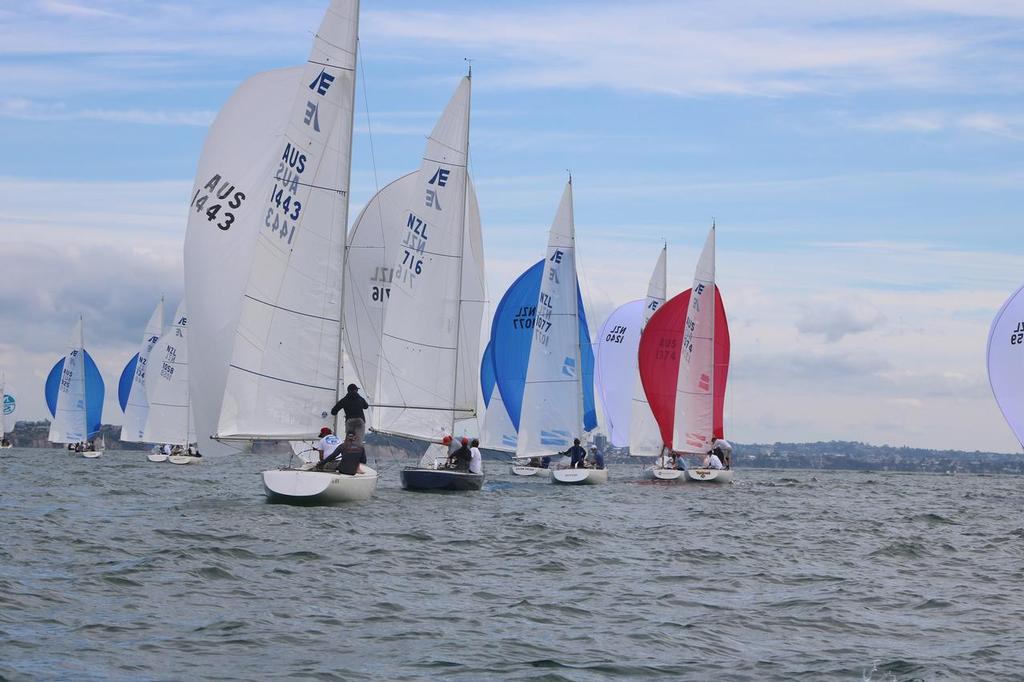 Etchells fleet - MRX Ladies Keelboat Nationals and Etchells International - Day 1 photo copyright RNZYS Media taken at  and featuring the  class