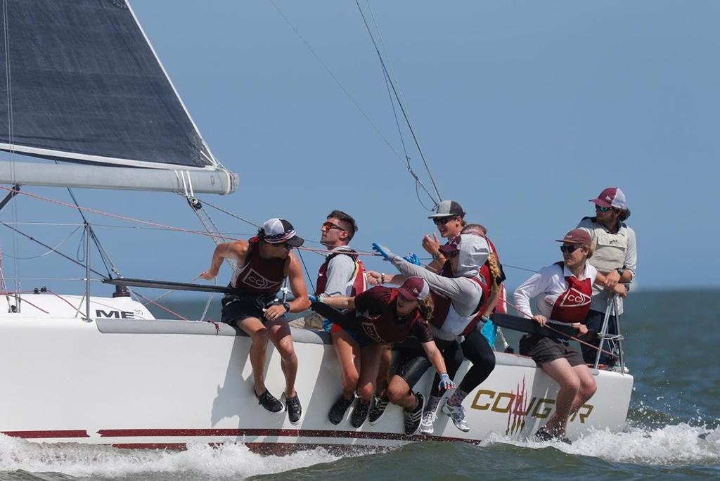 The College of Charleston OffshoreSailing Team-crewed Cougar shows its claws in solid afternoon breeze near Fort Sumter during the first day of racing at Sperry Charleston Race Week 2017. photo copyright Tim Wilkes / Charleston Race Week taken at  and featuring the  class