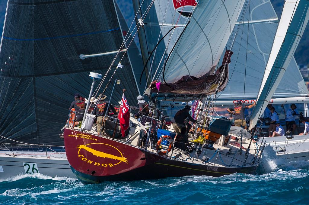 The easily recognisable Condor - 2017 Airlie Beach Race Week photo copyright  Andrea Francolini Photography http://www.afrancolini.com/ taken at  and featuring the  class