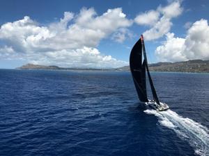 Comanche en route to the finish at Diamond Head - 2017 Transpac Race photo copyright  Sharon Green / Ultimate Sailing taken at  and featuring the  class