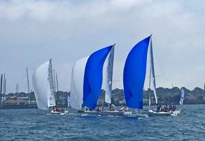 U.S. J/70 Youth Championship photo copyright  Matthew Cohen taken at  and featuring the  class