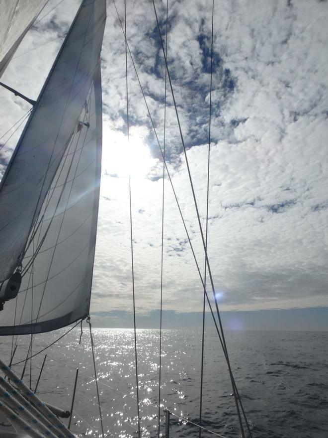 A rare and perfect day - three full sails under blue skies and marshmallow clouds ©  Kristen Anderson