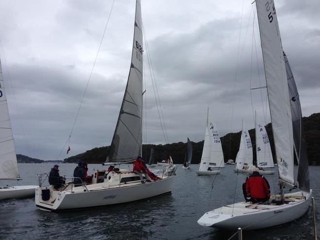 Busy behind the Line - Farr to Young Regatta © Seamus Campbell