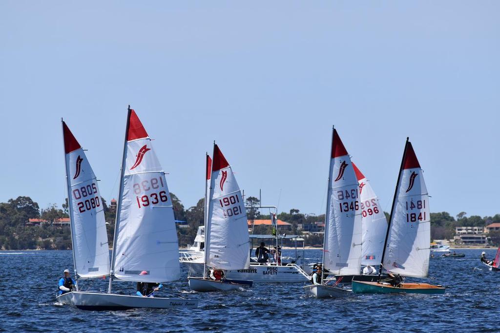 2017 Perth Waters Coaching Regatta photo copyright Chelsea Baker taken at  and featuring the  class