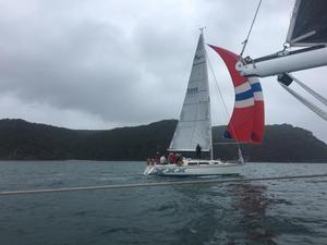 Tenspeed - Farr to Young Regatta photo copyright Seamus Campbell taken at  and featuring the  class