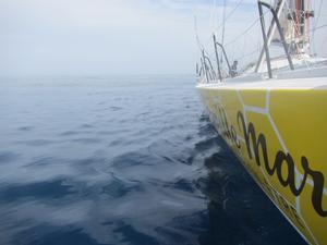 Transat Jacques Vabre photo copyright TJV taken at  and featuring the  class