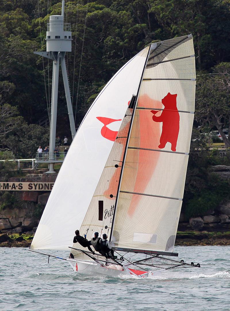 18ft Skiff Spring Championship: Bird and Bear produced a good performance in last Sunday's double-header on Sydney Harbour 120 photo copyright Frank Quealey taken at Australian 18 Footers League and featuring the 18ft Skiff class