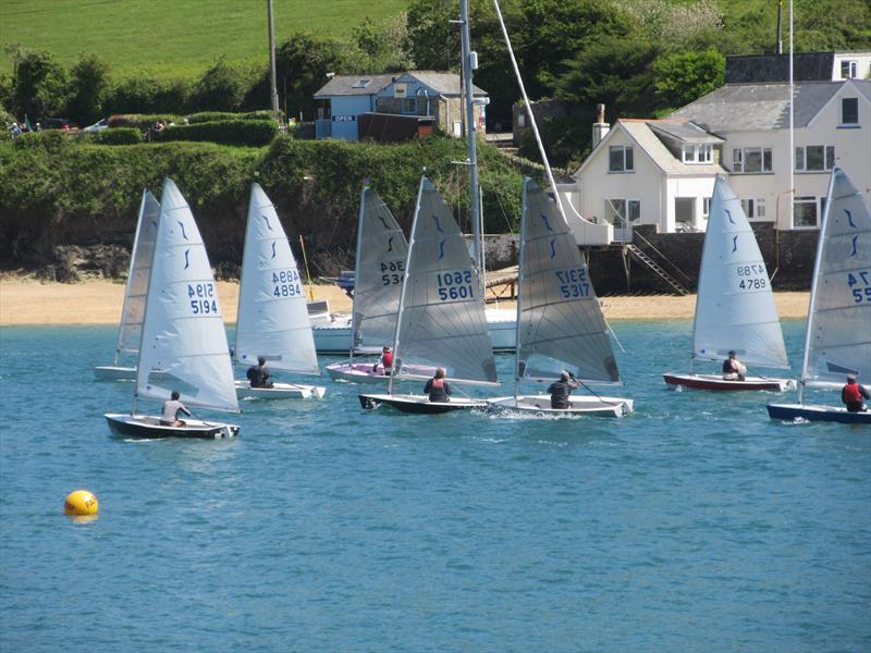 Salcombe Yacht Club Sailing Club Series Race 4 photo copyright David Greening taken at Salcombe Yacht Club and featuring the Solo class