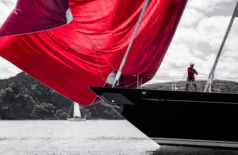Thalia racing in the New Zealand Millennium Cup photo copyright Jeff Brown taken at  and featuring the Superyacht class
