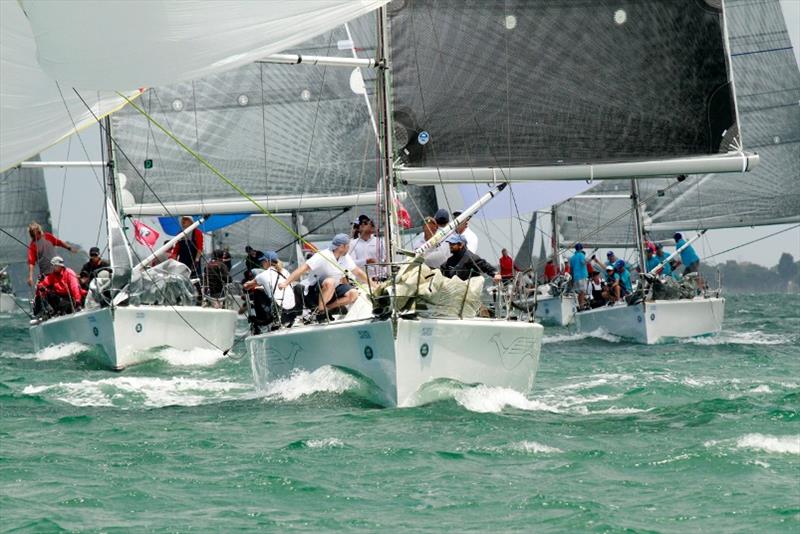 FOS2015 Phoenix leads the S38 fleet photo copyright Teri Dodds taken at Royal Geelong Yacht Club and featuring the Sydney 38 class