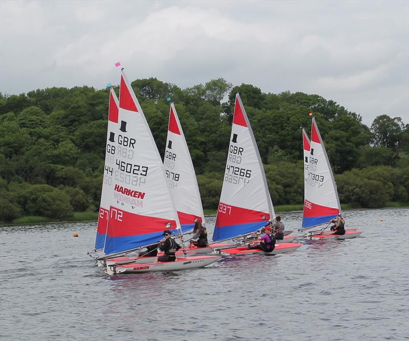 Topper NW Championship at Bass photo copyright William Carruthers taken at Bassenthwaite Sailing Club and featuring the Topper class
