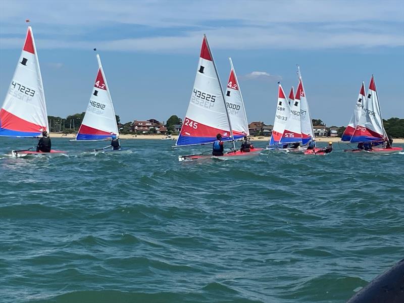 Rooster Southern Topper Travellers at Stokes Bay photo copyright Bruce Keen taken at Stokes Bay Sailing Club and featuring the Topper class