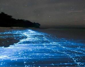 Glowing Plankton photo copyright francesca page photo taken at  and featuring the  class