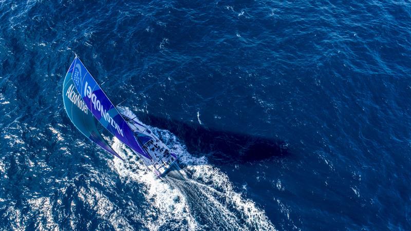 Leg 7 from Auckland to Itajai, day 16 on board AkzoNobel. 01 April, . 42Â°19'23` S 50Â°25'15` W photo copyright James Blake / Volvo Ocean Race taken at  and featuring the Volvo One-Design class