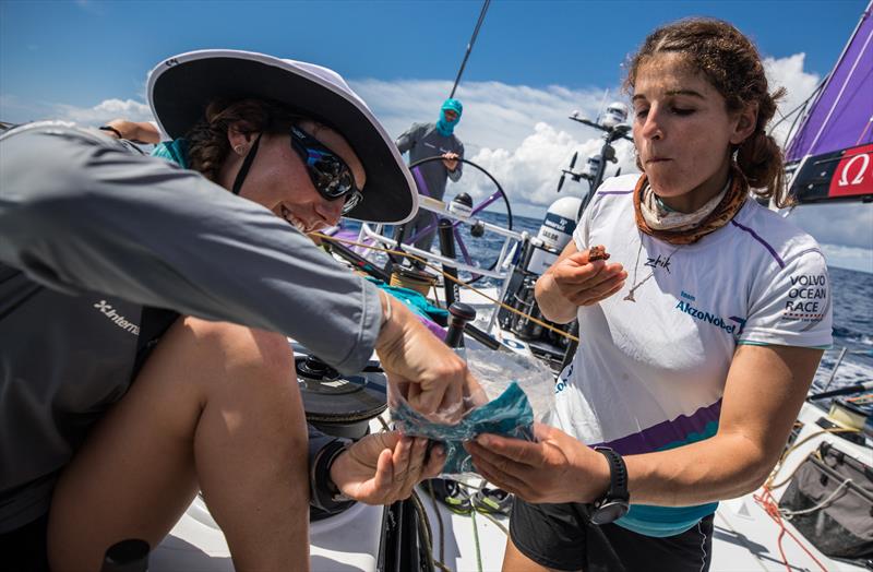 Emily and Martine enjoy some brownies as they cross the equator - Leg 8 from Itajai to Newport, Day 8 on board AkzoNobel. 30 April,  photo copyright Brian Carlin / Volvo Ocean Race taken at  and featuring the Volvo One-Design class