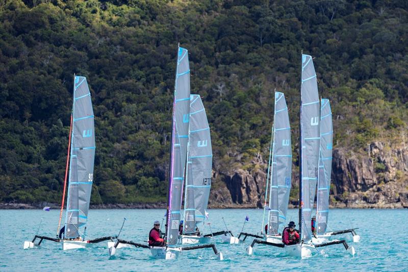 Wetas out in force last year during Airlie Beach Race Week - photo © Andrea Francolini / ABRW