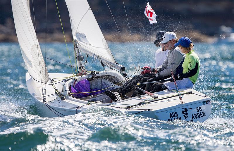 Black Adder - Manly Yacht Club Helly Hansen Women's Challenge 2018 photo copyright Crosbie Lorimer – Bow Caddy Media taken at Manly Yacht Club and featuring the Yngling class