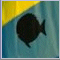 Visit the Sunfish class page