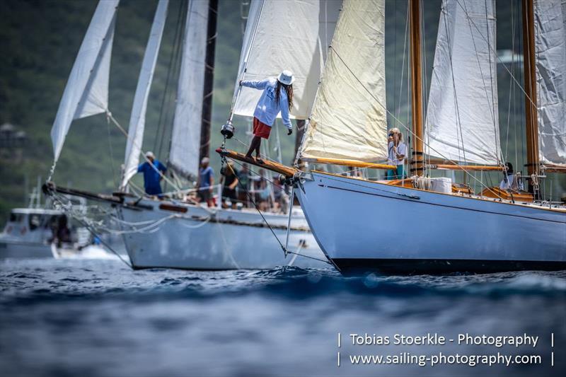 35th Antigua Classic Yacht Regatta - photo © Tobias Stoerkle - Photography
