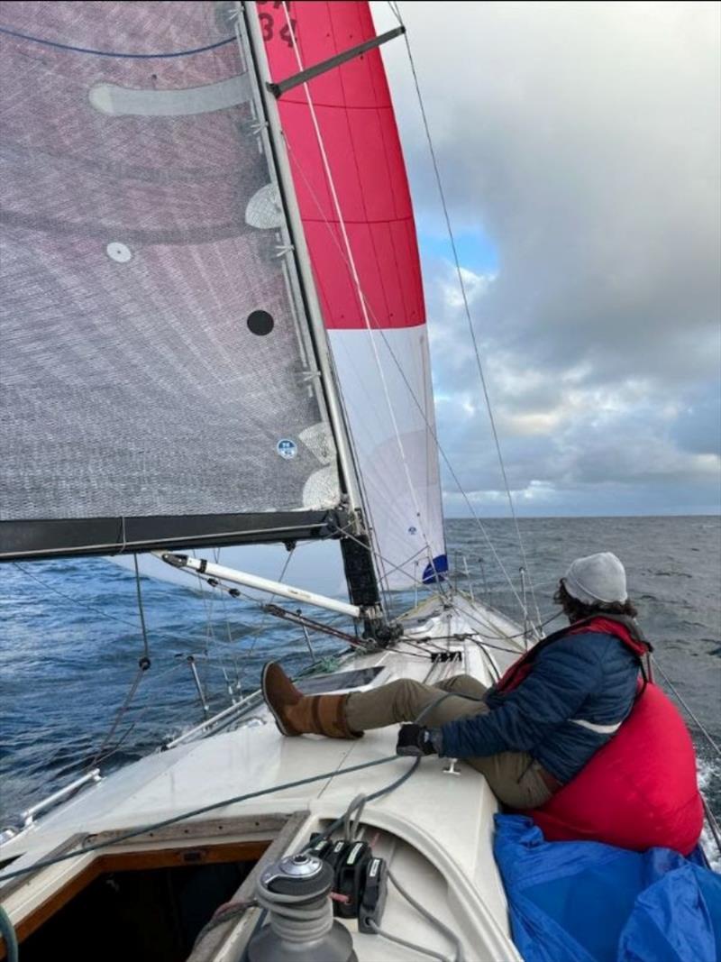 Tom Rall (27) aboard Ohana, a Swede 55 that claimed the President of USA trophy for best corrected all PHRF and the Cliff Chapman Trophy for topping PHRF Race B at the 76th Newport to Ensenada Yacht Race - photo © Paul Hogue