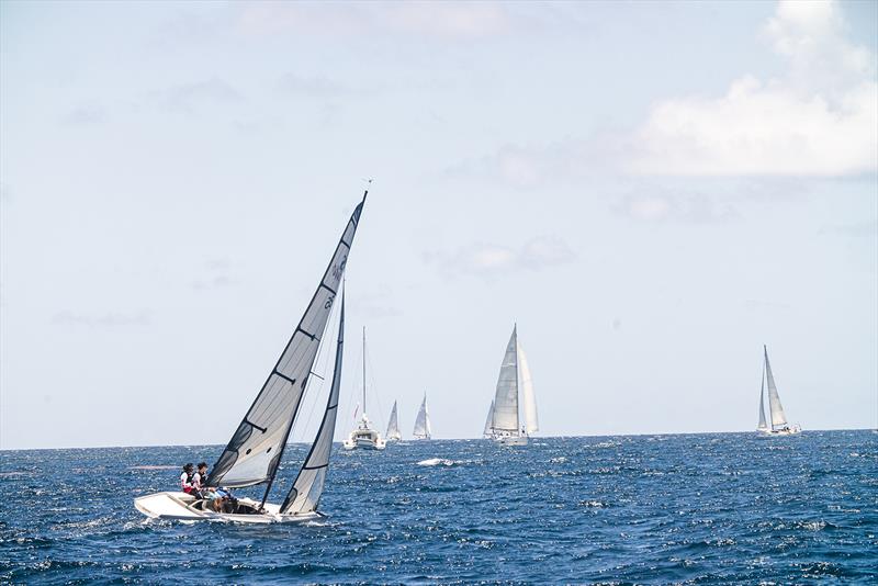 RS Elite at Antigua Sailing Week 2024 photo copyright Nigel Scotland / Visual Echo + Anna Black taken at Antigua Yacht Club and featuring the RS Elite class