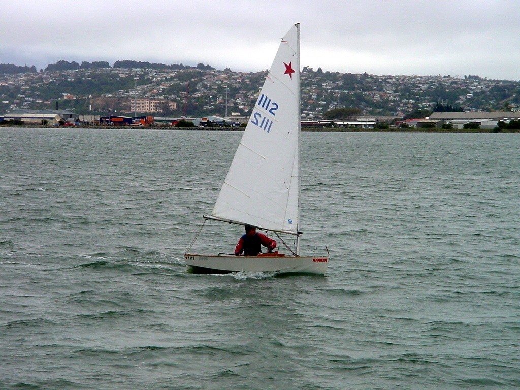                   Starlings coming down the final lead at the Dunedin Festival regatta.<br />
 © Event Media
