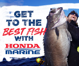 Honda Marine 300 x 250 Best Fish